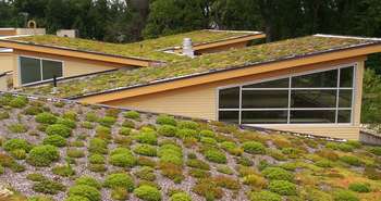 Commercial Living green roof on the Helen Schuler Nature centre