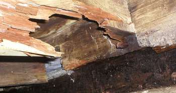 Dry Rot in Homes - The Identification, Treatment, Prevention & Repair of Dry Rot