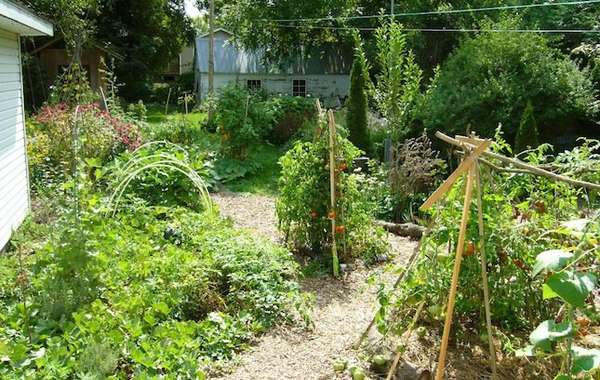 Ecological Design and Gardening: Intro to Permaculture