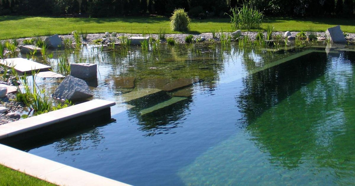 Natural Swimming Pools - DIY or Pro Building Tips - Ecohome