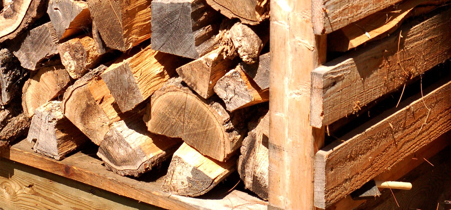Which Wood Is Best For Firewood Tips For Eco Friendly Heat Ecohome