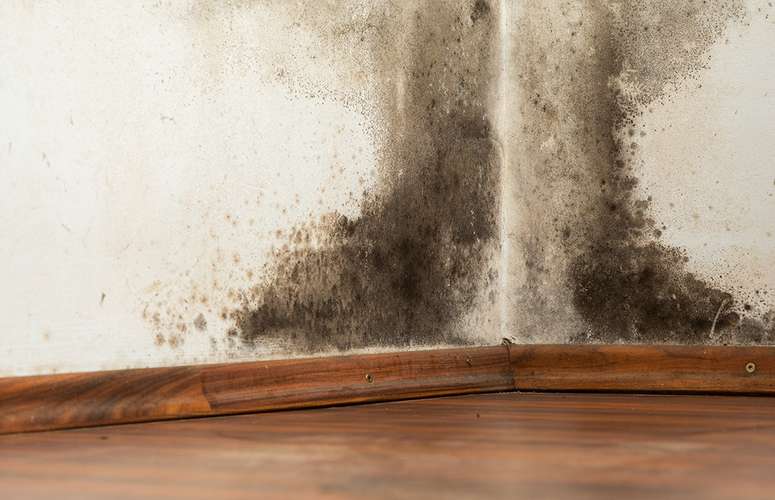 Poly vapour barriers in air conditioned houses can cause mold and rot