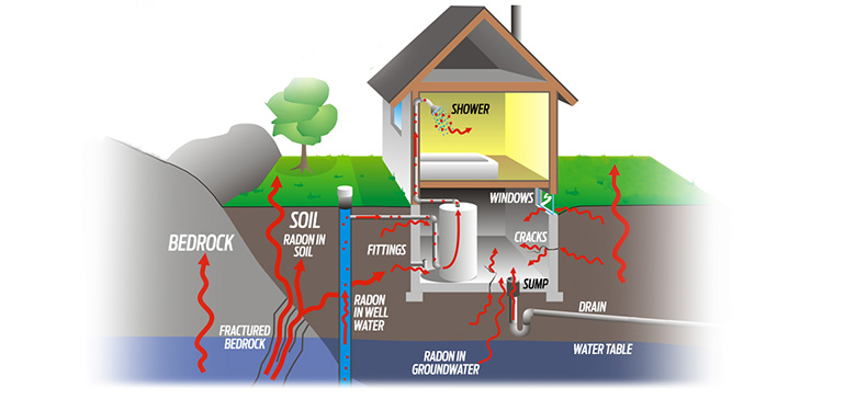 How to ensure healthy indoor air quality - Ecohome