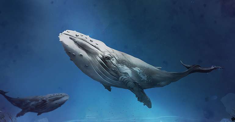 Carbon Offset - Whale Poop leads Nature's Own Way - Ecohome